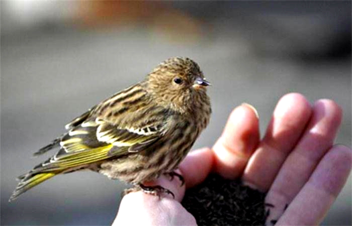 原创佛家布施讲究三轮体空了悟这4个故事福报自然来