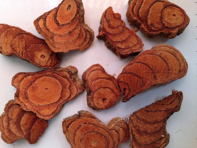 泡酒入门 | 老人年经常手脚发麻,筋骨疼痛该怎么办?_鸡血藤