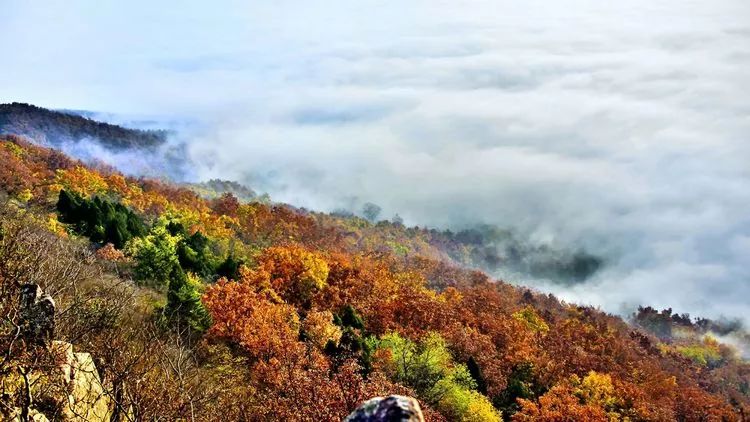 諸城這座山,把最美的風景留給了秋天_常山