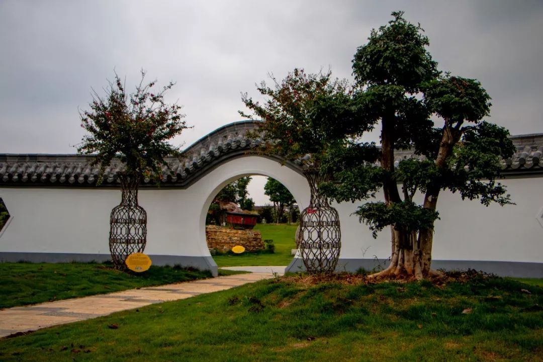 双11抢票啦蒙城恋蝶谷全年最低票价剁手无压力