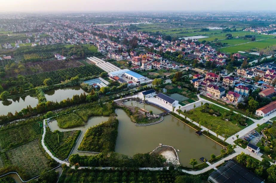 崇明乡镇百年堡镇大通未来