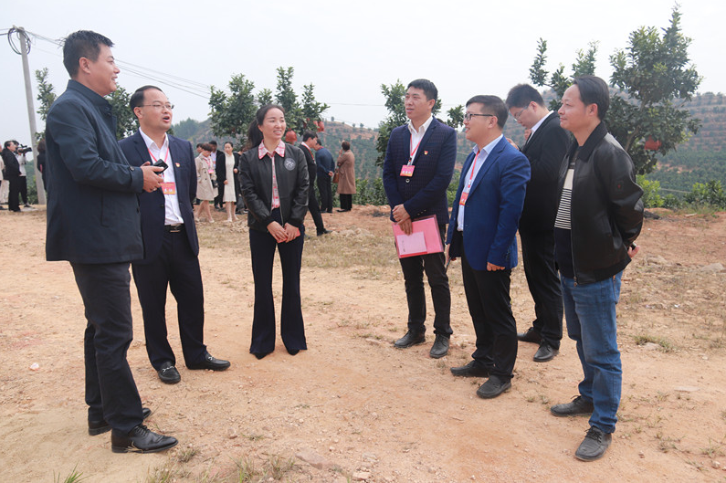 原创黎川日峰镇积极落实市委书记肖毅同志在沁心胭脂柚基地视察的指示