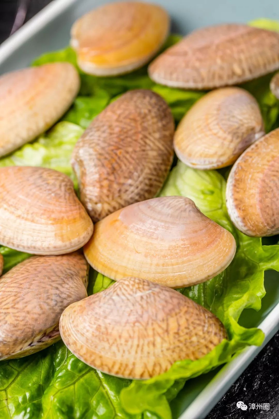 大油蛤凭借着它清爽宜人的海洋滋味,令许多闽南许多食客痴迷,民间也