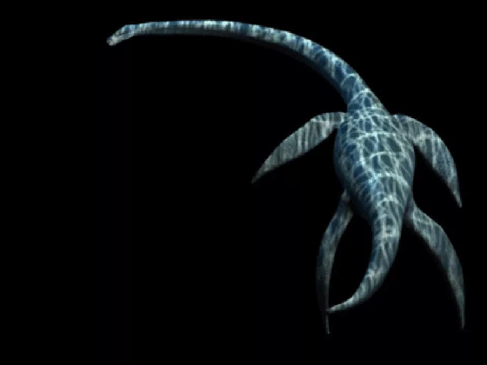 观察远古海洋认识蛇颈龙的演变进化,了解其外形与猎食方式;通过陶土