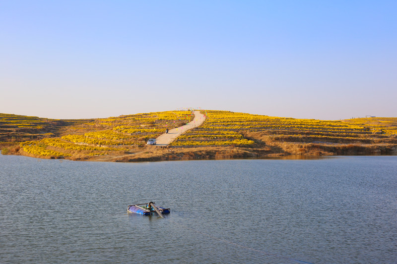 秋日自驾山东新泰万亩花海良心谷赏菊品菊
