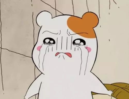 净值波动太大受不了!有没有涨跌都赚钱的基金?