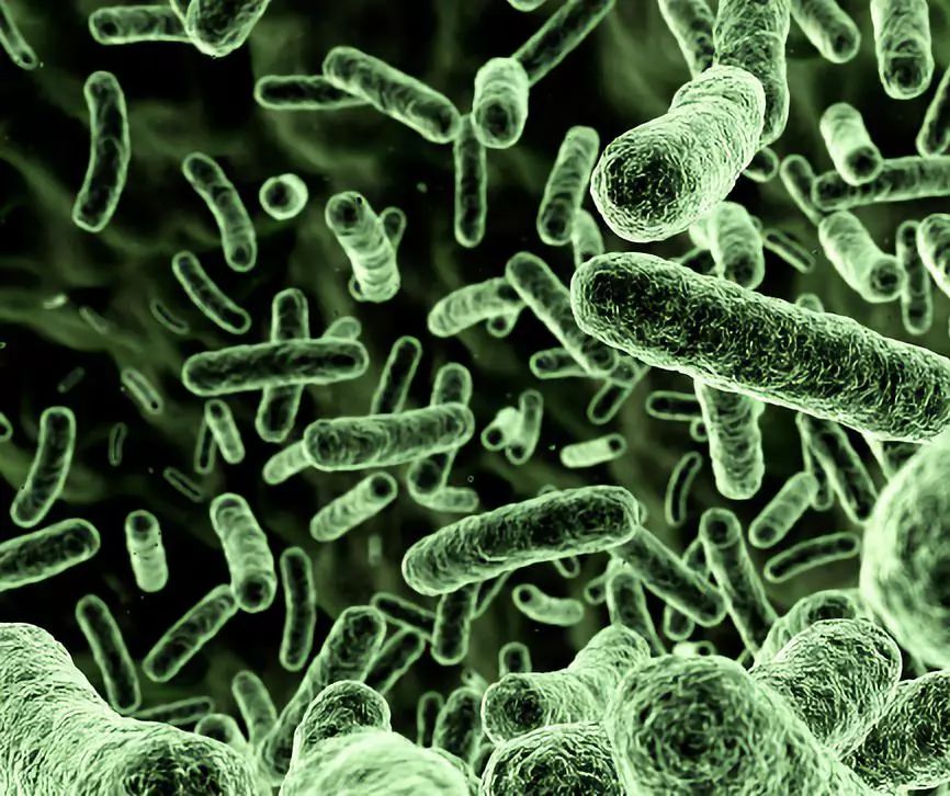 男子被一只沼虾夺命!"超级细菌"全身蔓延,进icu到去世仅3天!_大伯