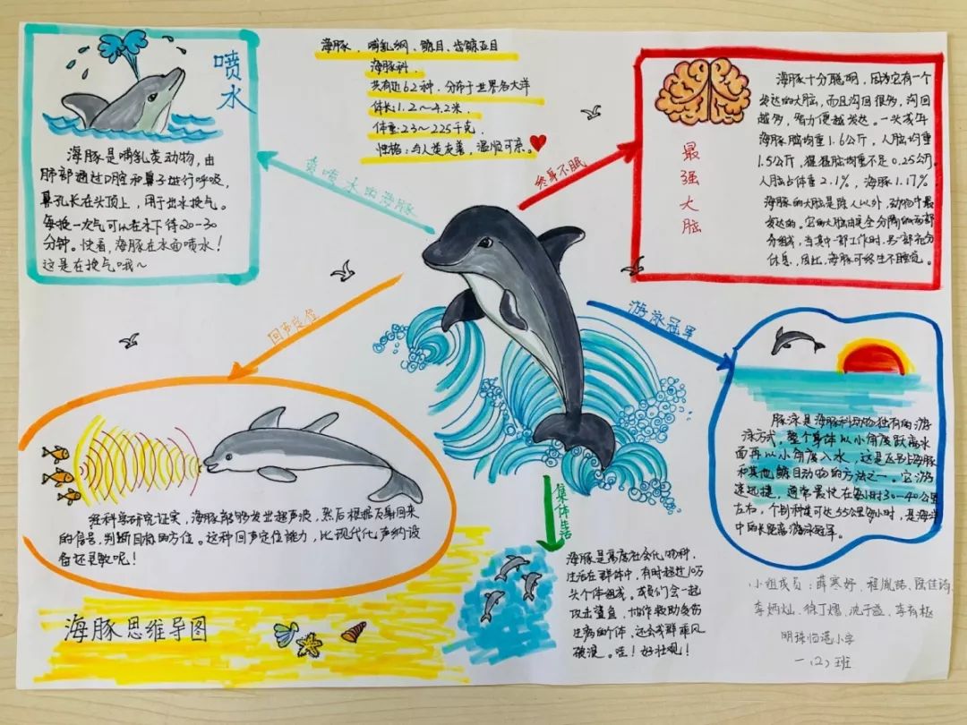 以及学到的知识运用思维导图的形式生动形象地画了出来