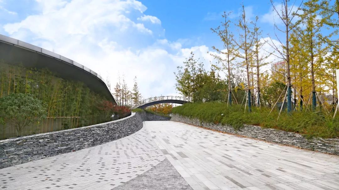 探索100公顷的超大绿地桃浦中央绿地了解一下