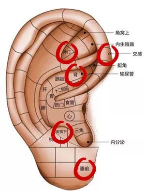 立冬,小动物们都准备冬眠了,可我还是睡不着,太难了