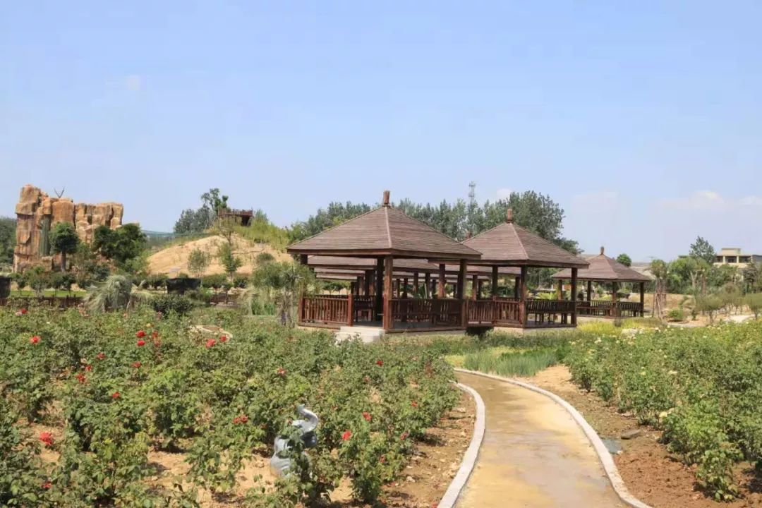 【双11抢票啦!】蒙城恋蝶谷全年最低票价,剁手无压力