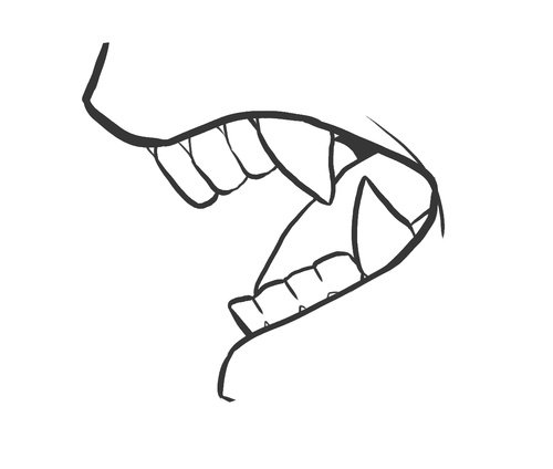 各种动物的牙齿简笔画图片