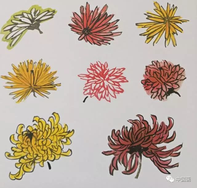 国画技法一步一步教你画菊花
