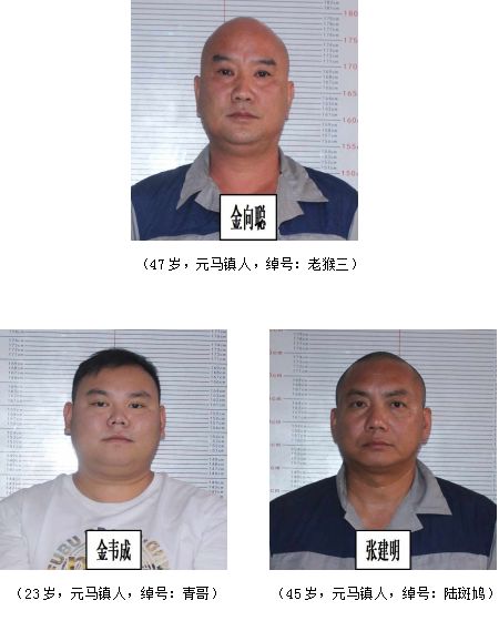 元谋金向聪抓捕现场图片