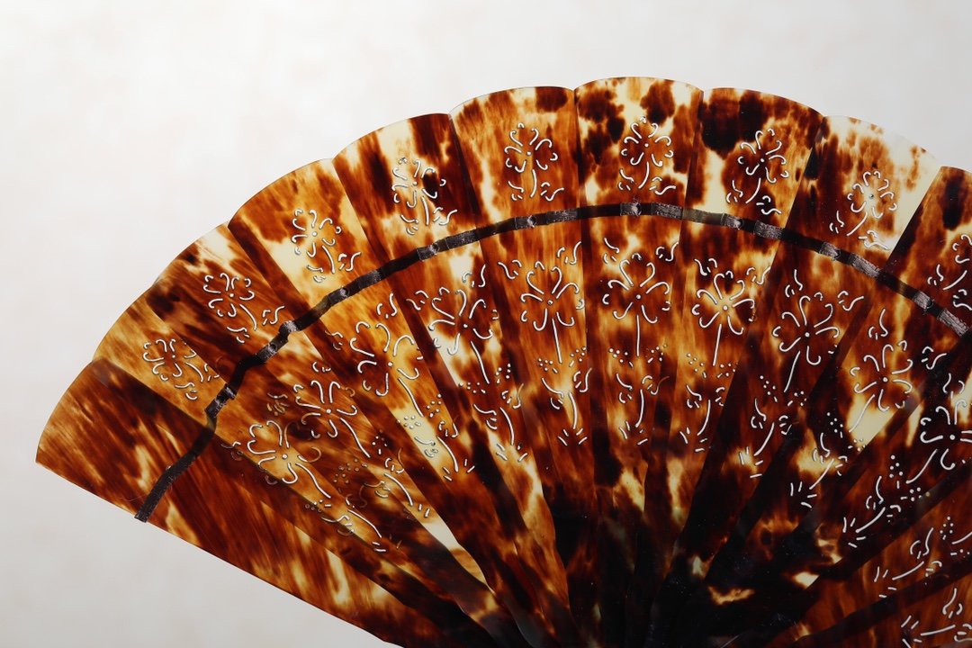 玳瑁折扇风情,带你了解玳瑁跟海龟的区别