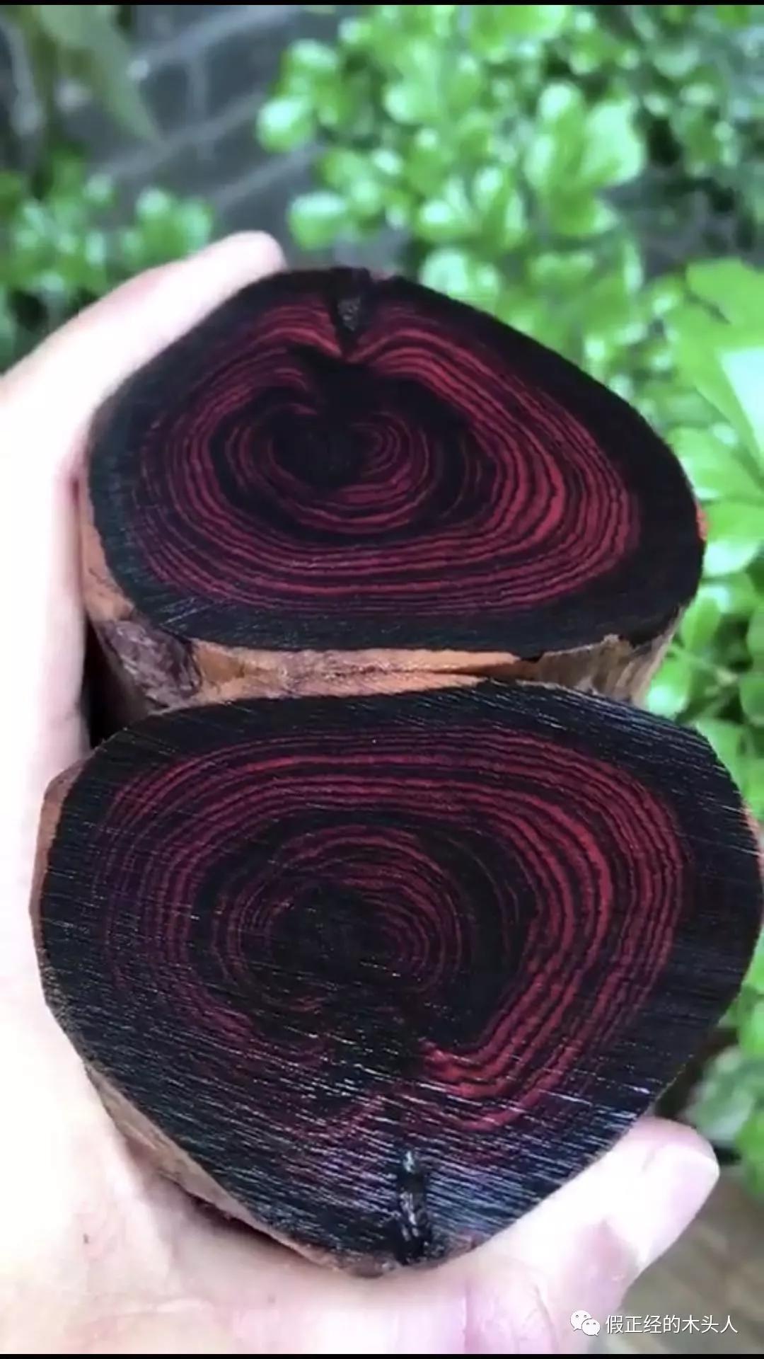 海南黄花梨原材料价格与等级划分(中上)—万元紫油梨(上)