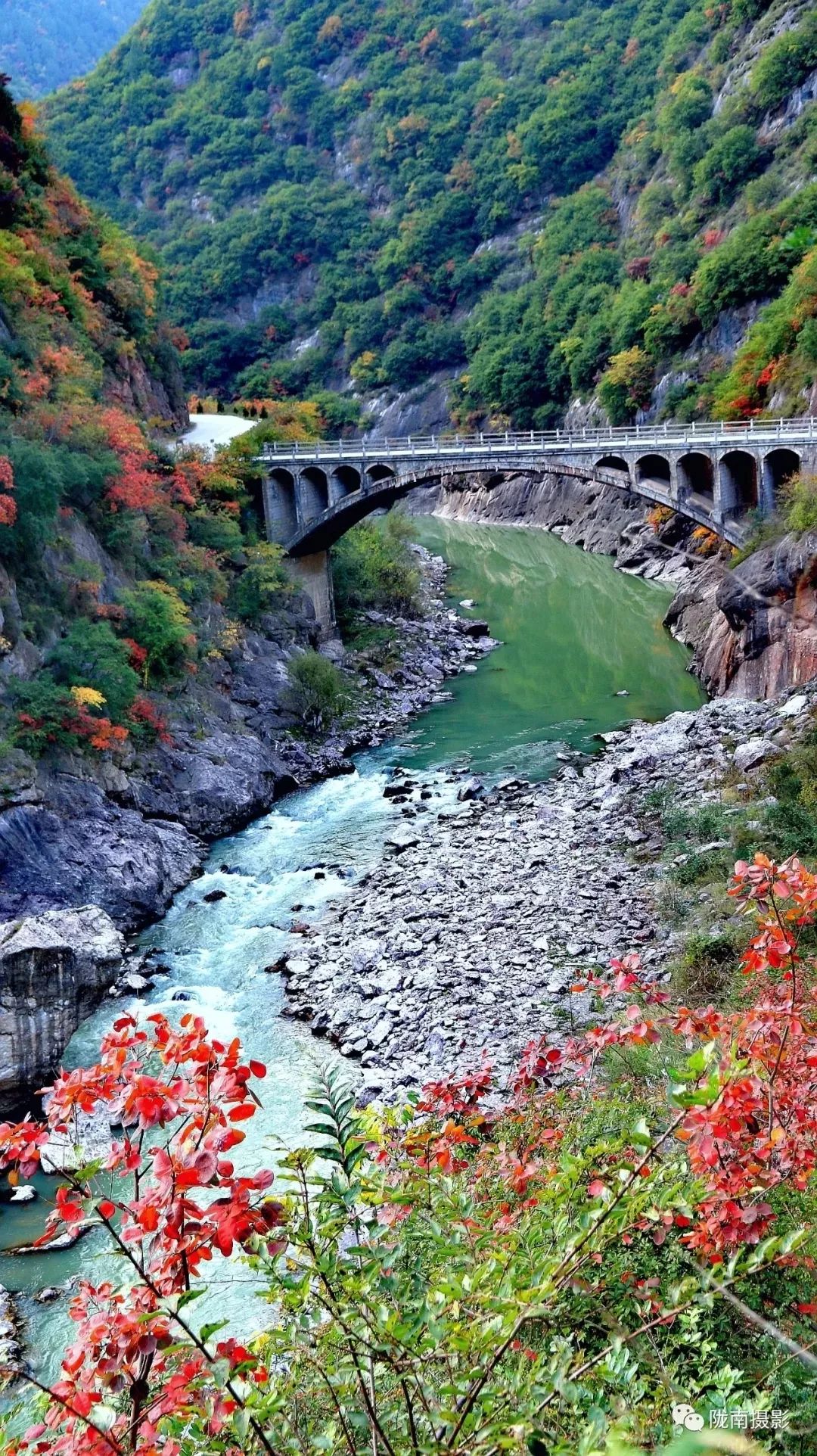 陇南风光两当那惊艳了岁月的红叶