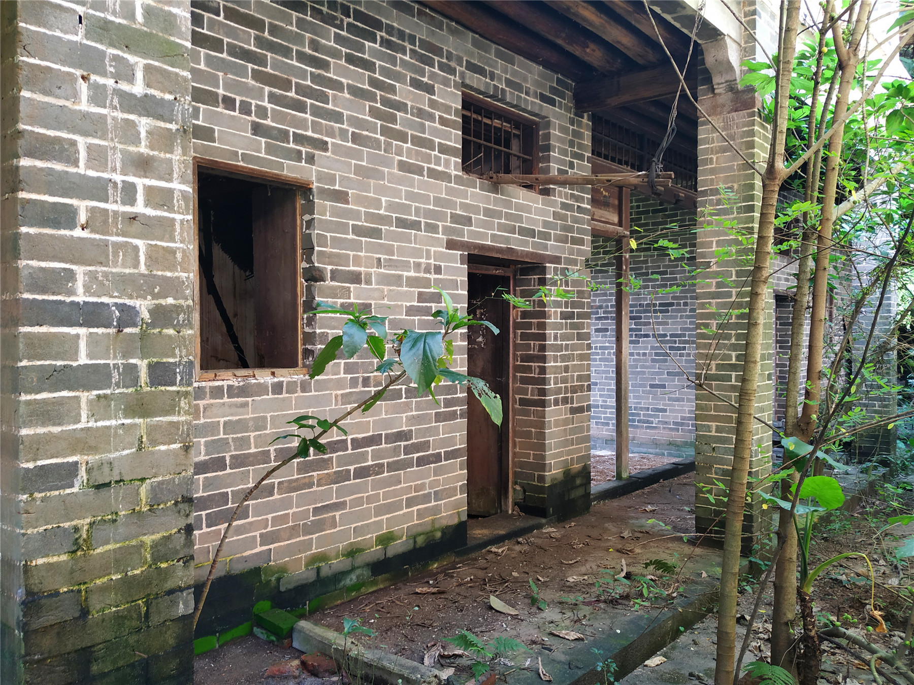 探访:广东罗定一幢青砖民国大宅,淹没丛草中