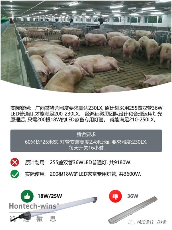 养猪照明灯具标准和灯光规划_猪舍