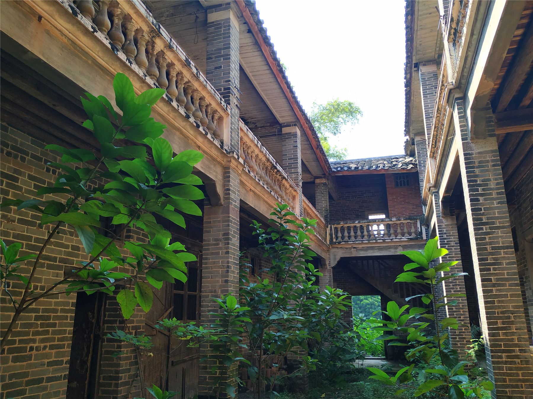 探访:广东罗定一幢青砖民国大宅,淹没丛草中