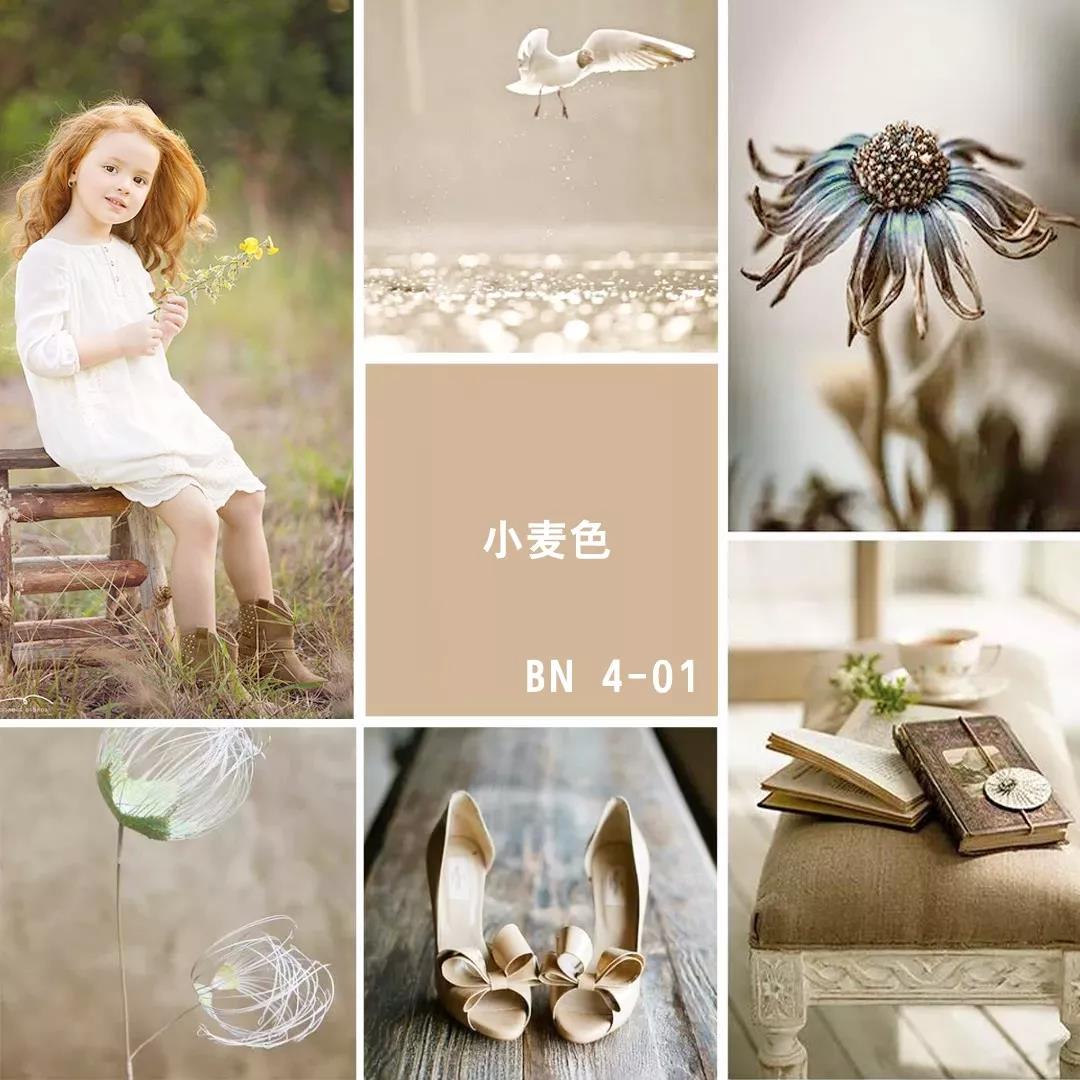 这个冬季最火的颜色 小麦色 色彩