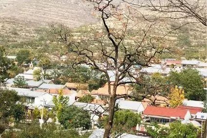 顺势发展乡村旅游成为朱家户村强村富民的一条新路径,张继学带领村民