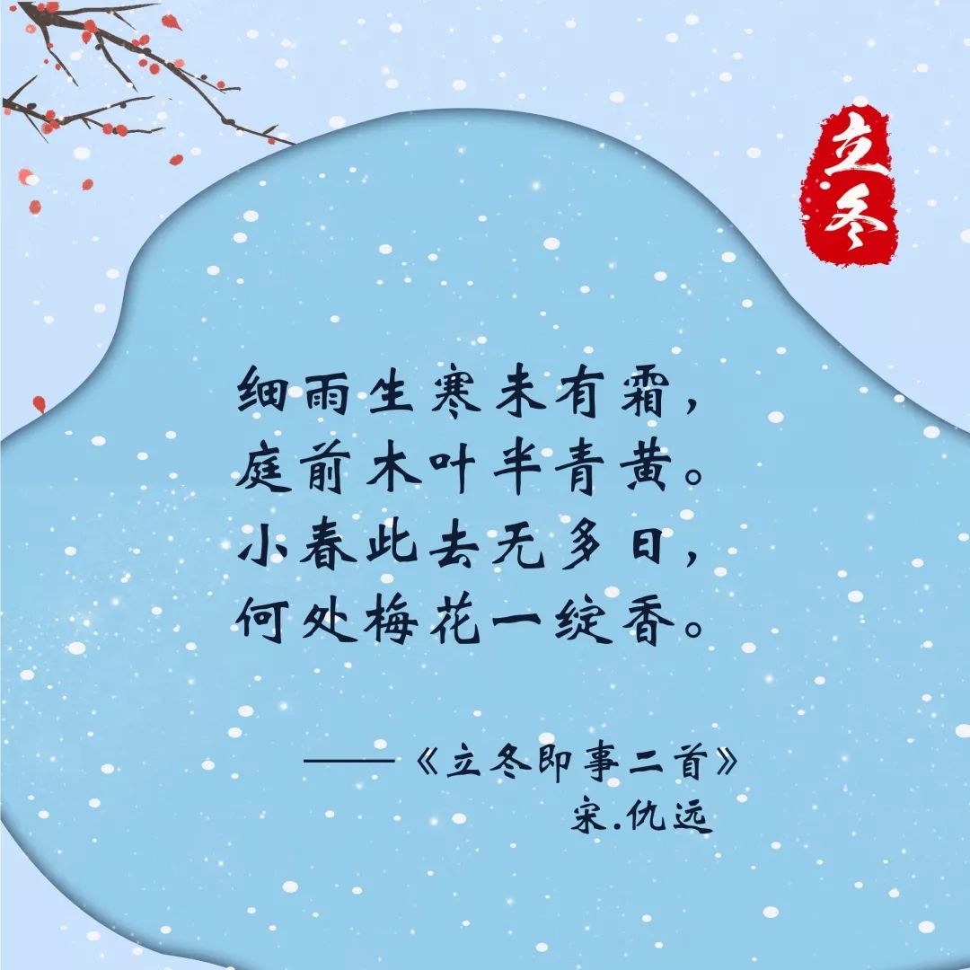 立冬来了雪花也在厦园飘洒了