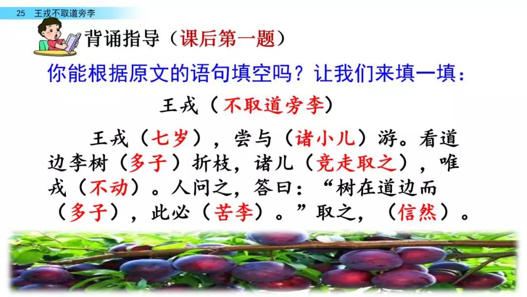 部编版四年级上册第25课《王戎不取道旁李》图文讲解_李子