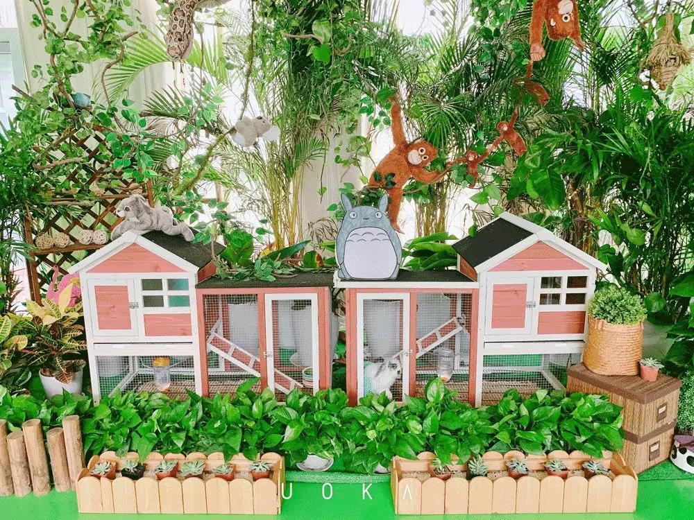 咦~幼儿园里竟然有了小小"动物园"!