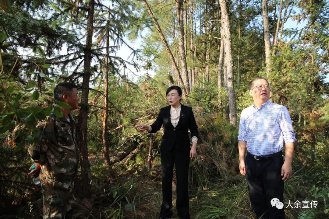 曹爱珍和史文清图片