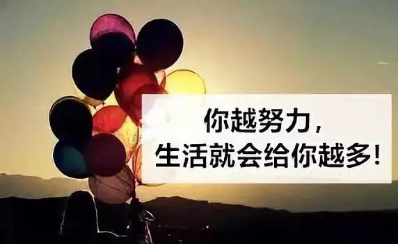 唯有努力不可辜负