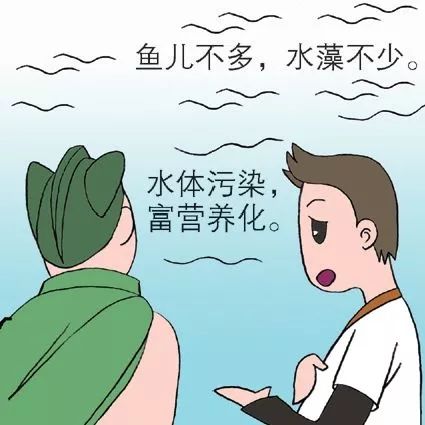 水体富营养化是咋回事儿?
