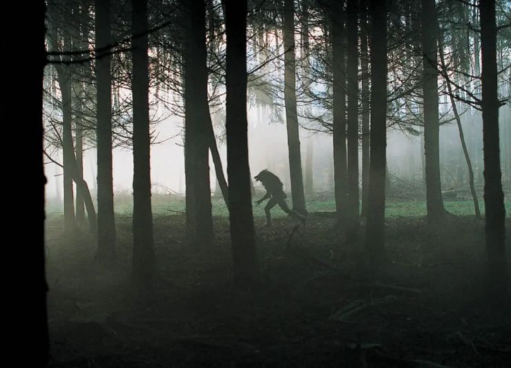 原创6个特种兵大战狼人,绝望比死亡更能杀人