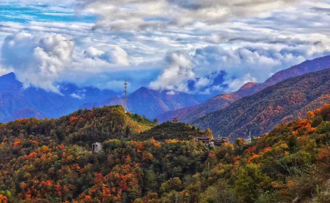 推薦觀賞點:四姑鎮北山村;劉集鎮鐵寨,店崗沿線;彭店鄉羅田,青松嶺