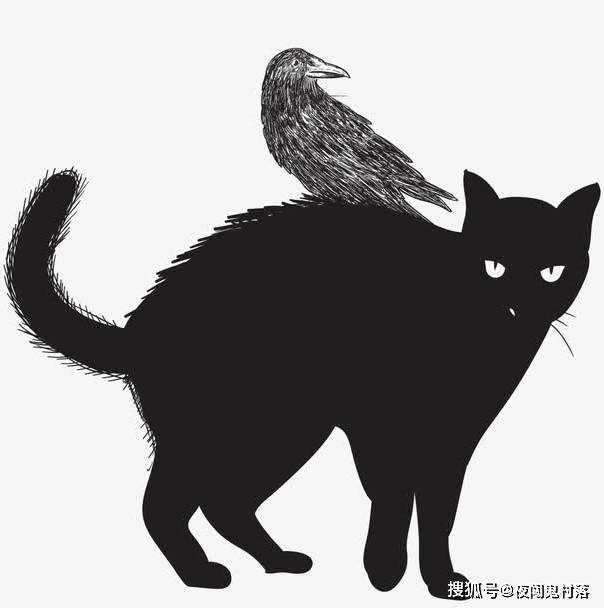 的物种,很多动物的感知都远远强于人类,比如狗的嗅觉,骆驼的感知等等