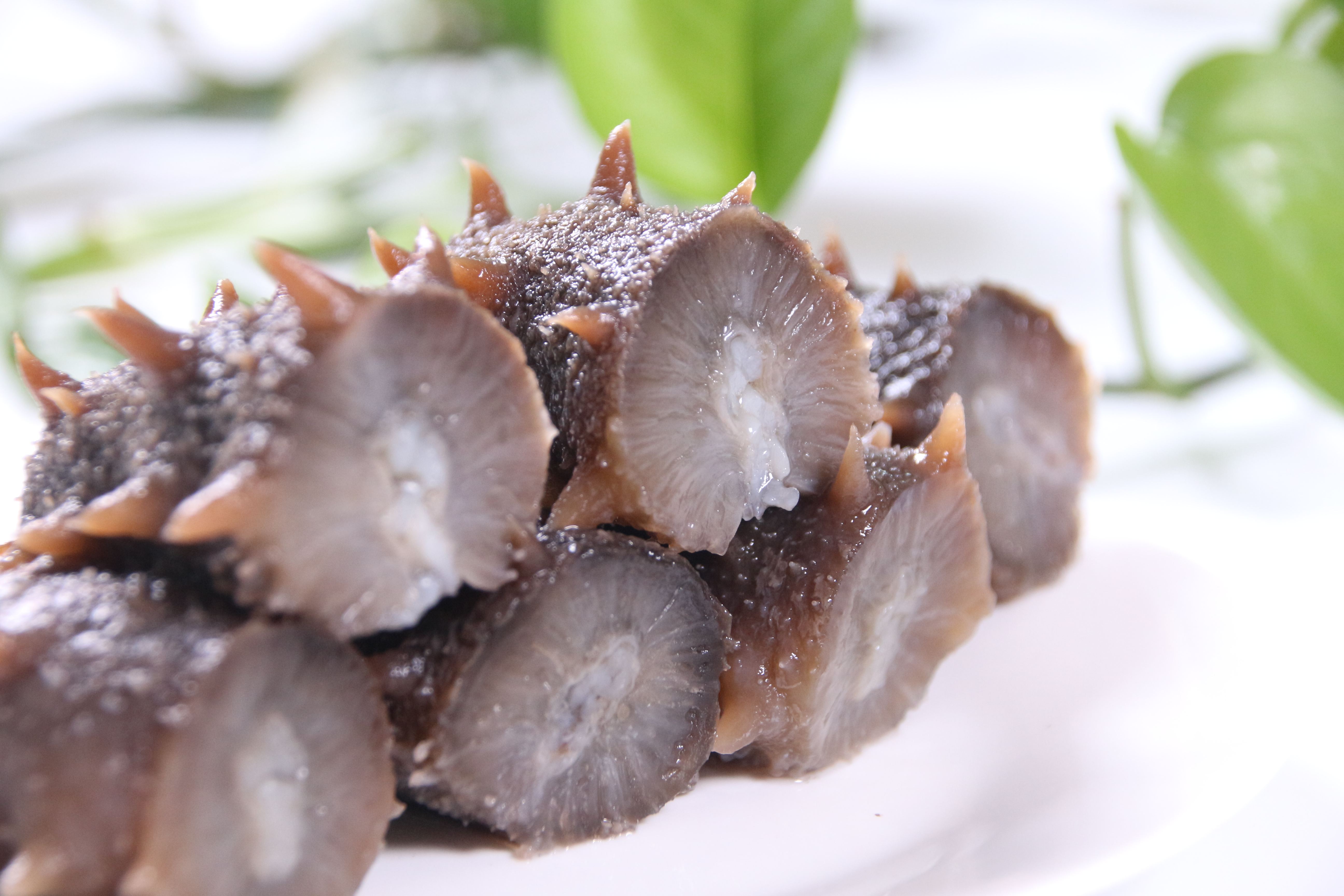 那家海参带你涨知识