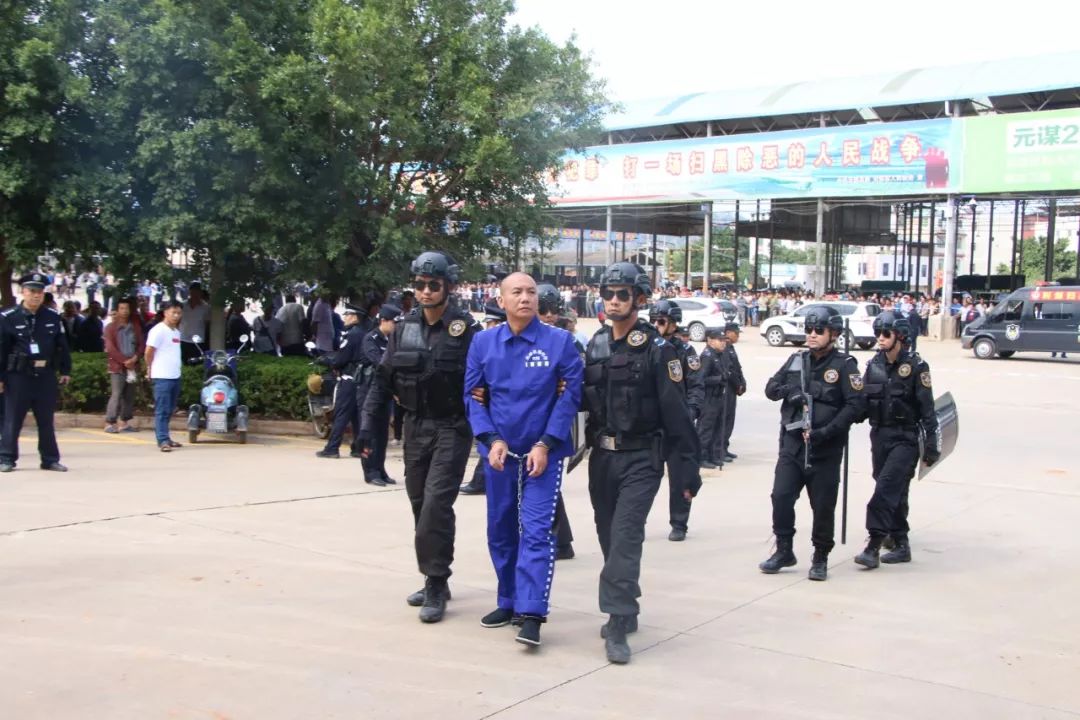 逮捕43人打财断血7300余万元楚雄州以金向聪为首的黑社会性质组织公开