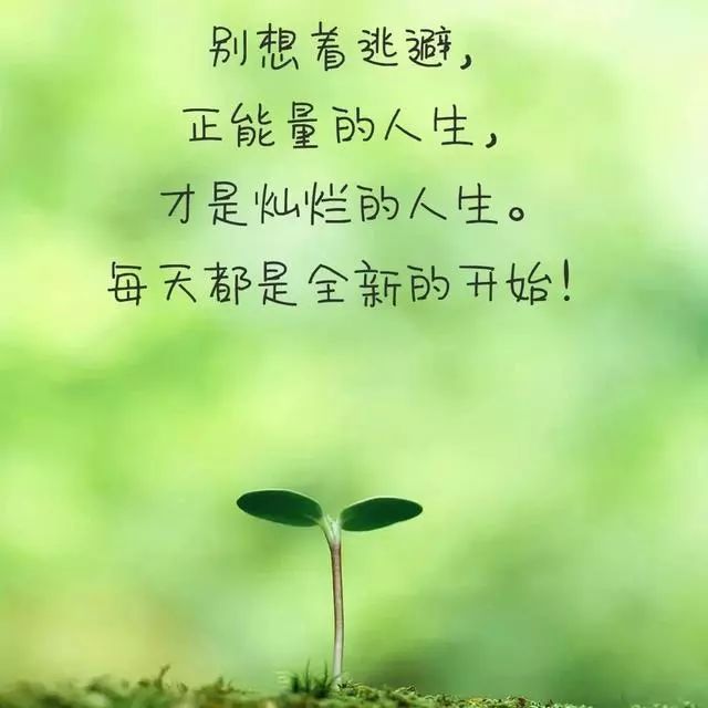 寻找属于你我的慢生活之道
