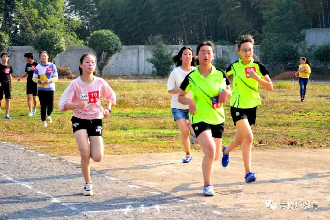 青树坪镇中心学校:举行第27届"跃进杯"中小学田径运动会