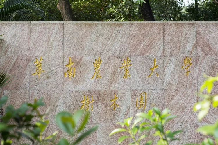 华南农业大学树木园图片