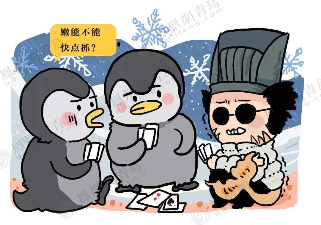 青岛人为什么这么喜欢够级