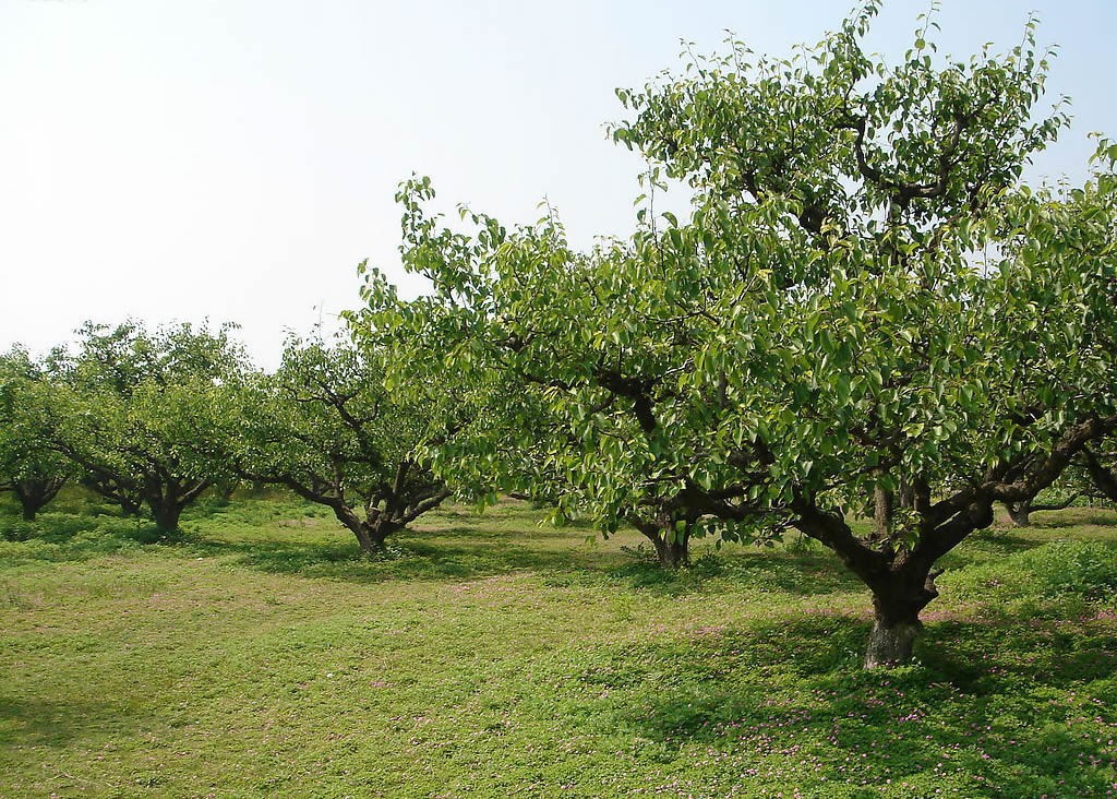 惧怕寒流,到了冬天就会包裹得结结实实,巴不得棉被包身的生肖女