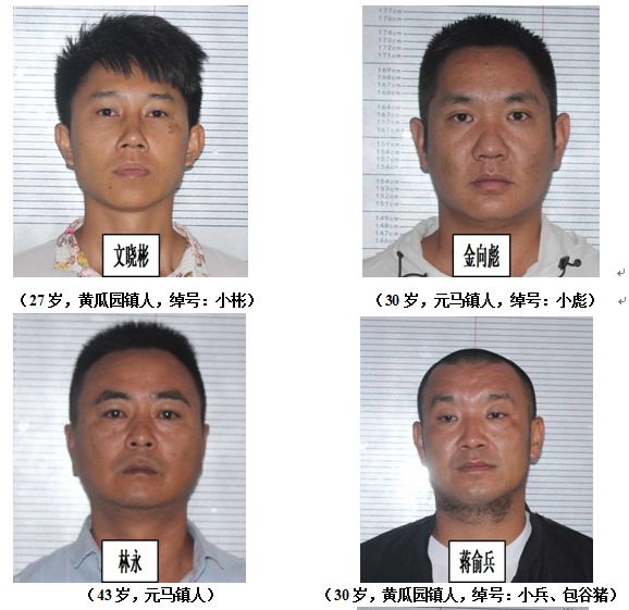 逮捕43人打财断血7300余万元楚雄州以金向聪为首的黑社会性质组织公开