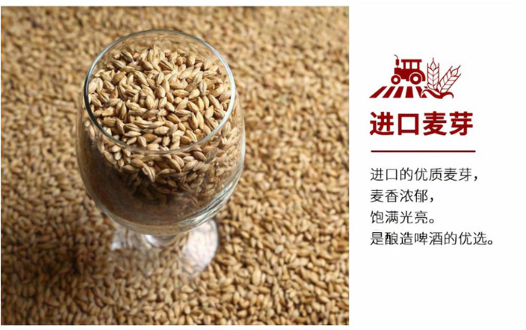 凯撒原樽1729黄啤45元箱24罐畅饮