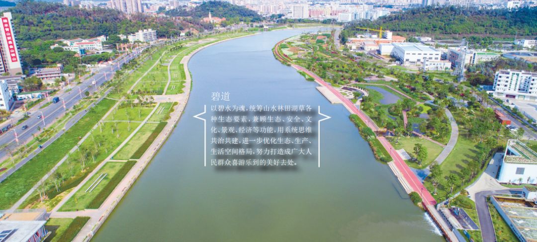 茅洲河宝安段完成河道整治!全区61条河流基本消除黑臭!_治理