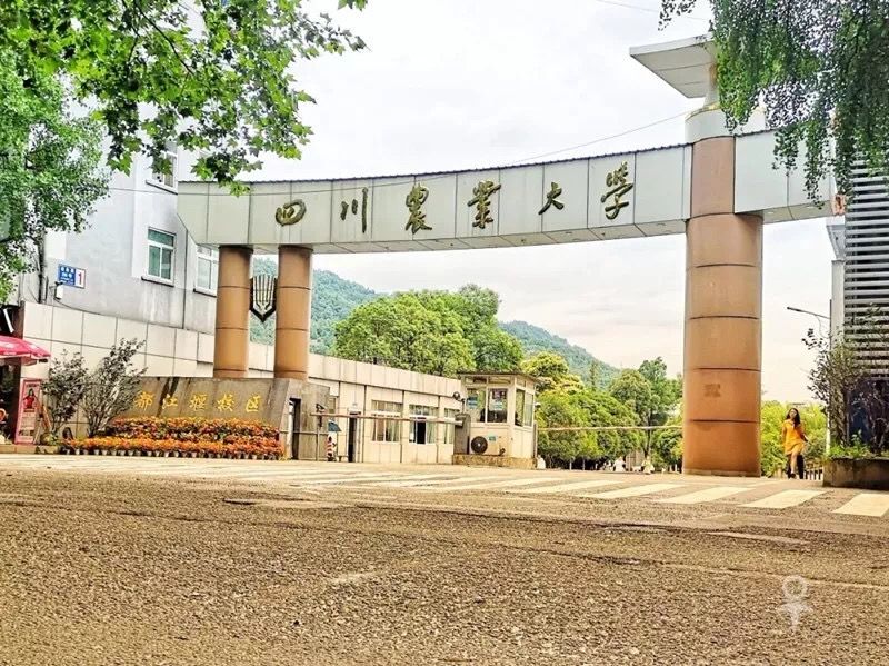 我校最严本科课程考试管理办法发布清考成为过去式