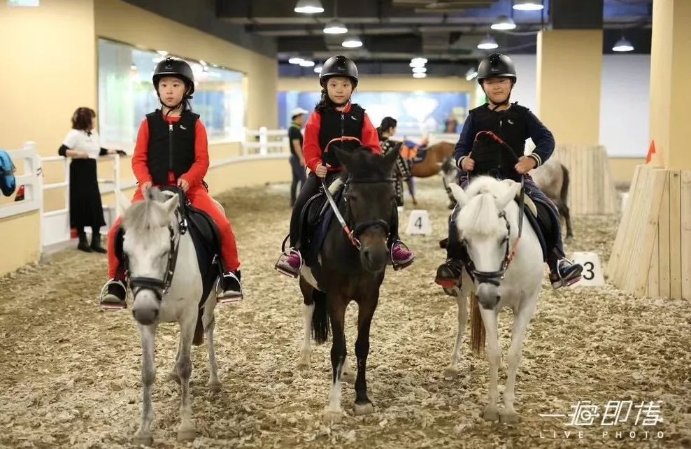 5折室内马场骑马摄影都五折开业以来第一次