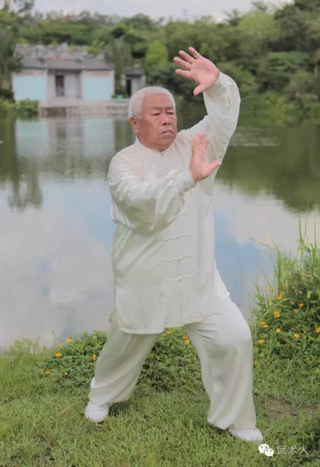 武式太极拳名家翟维传老师讲解太极拳八法五步