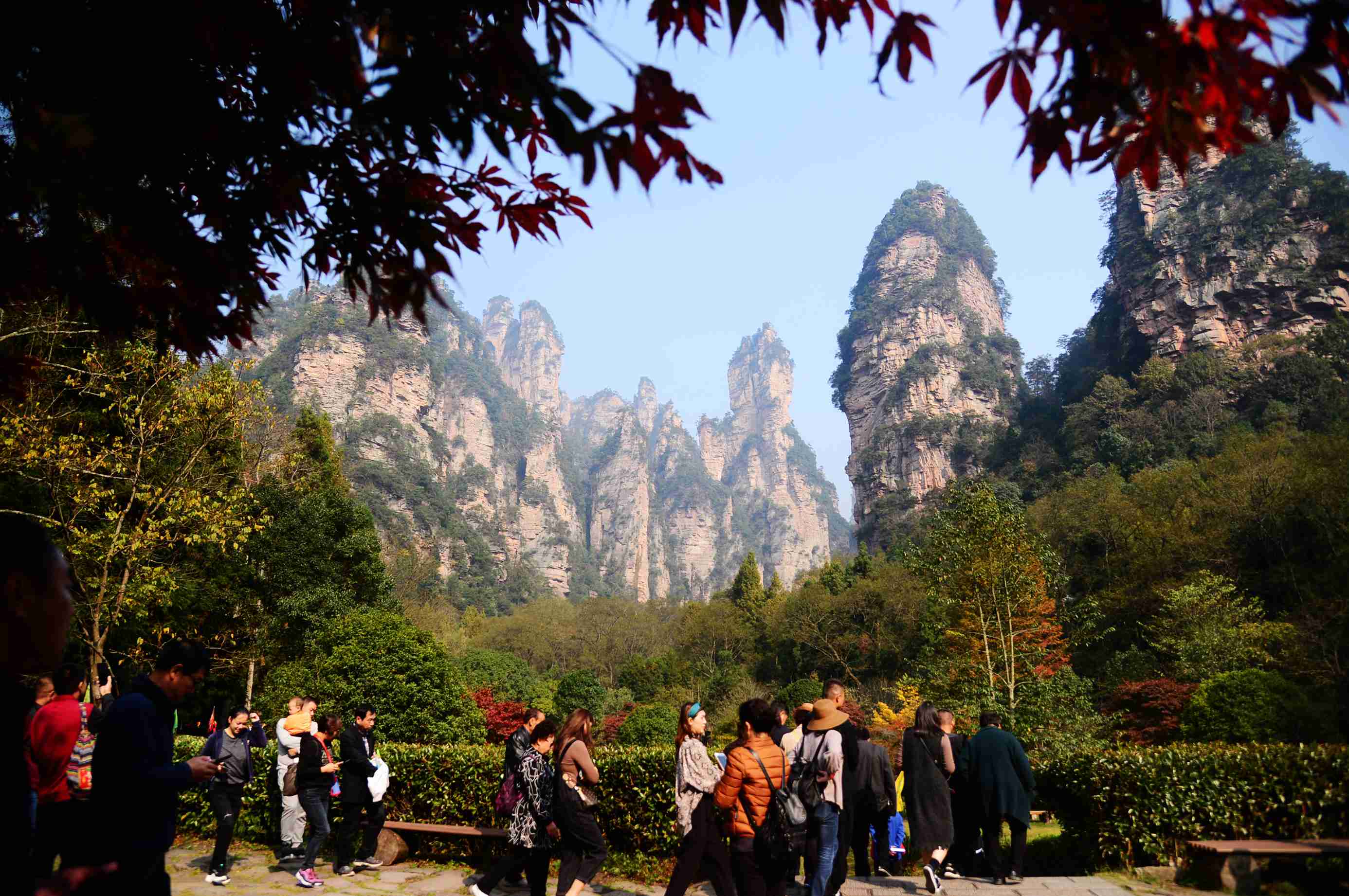 初冬武陵源,风景别样美 邓道理 摄