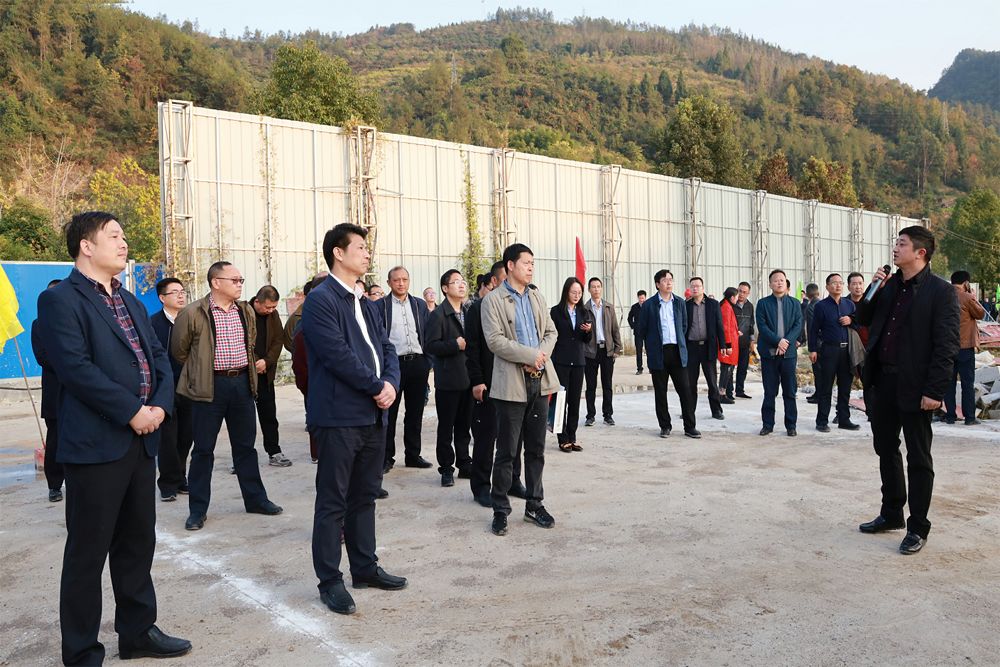 宣恩县委书记刘智勇到梦巢小镇建设现场考察调研